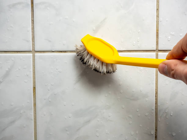  Clayton, OH Mold Removal Pros